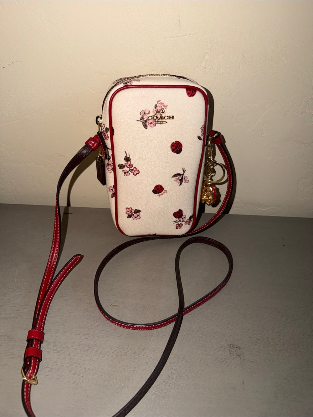 Coach North/South Zip Phone Crossbody in the Ladybug Floral